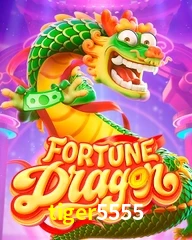 TIGER5555.COM