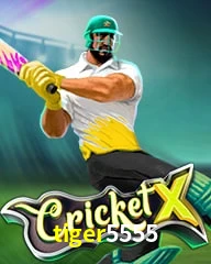 TIGER5555.COM