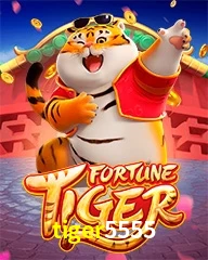 TIGER5555.COM