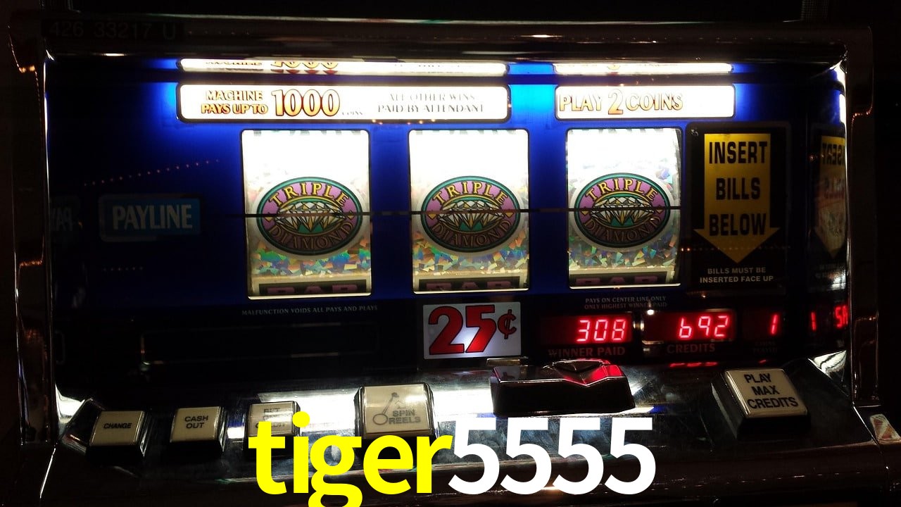 VIP Casino tiger5555