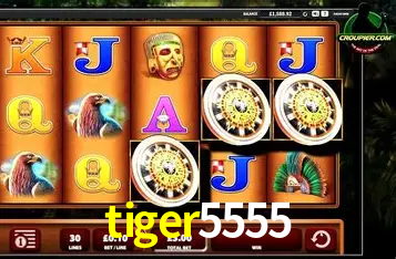 Interface Premium tiger5555