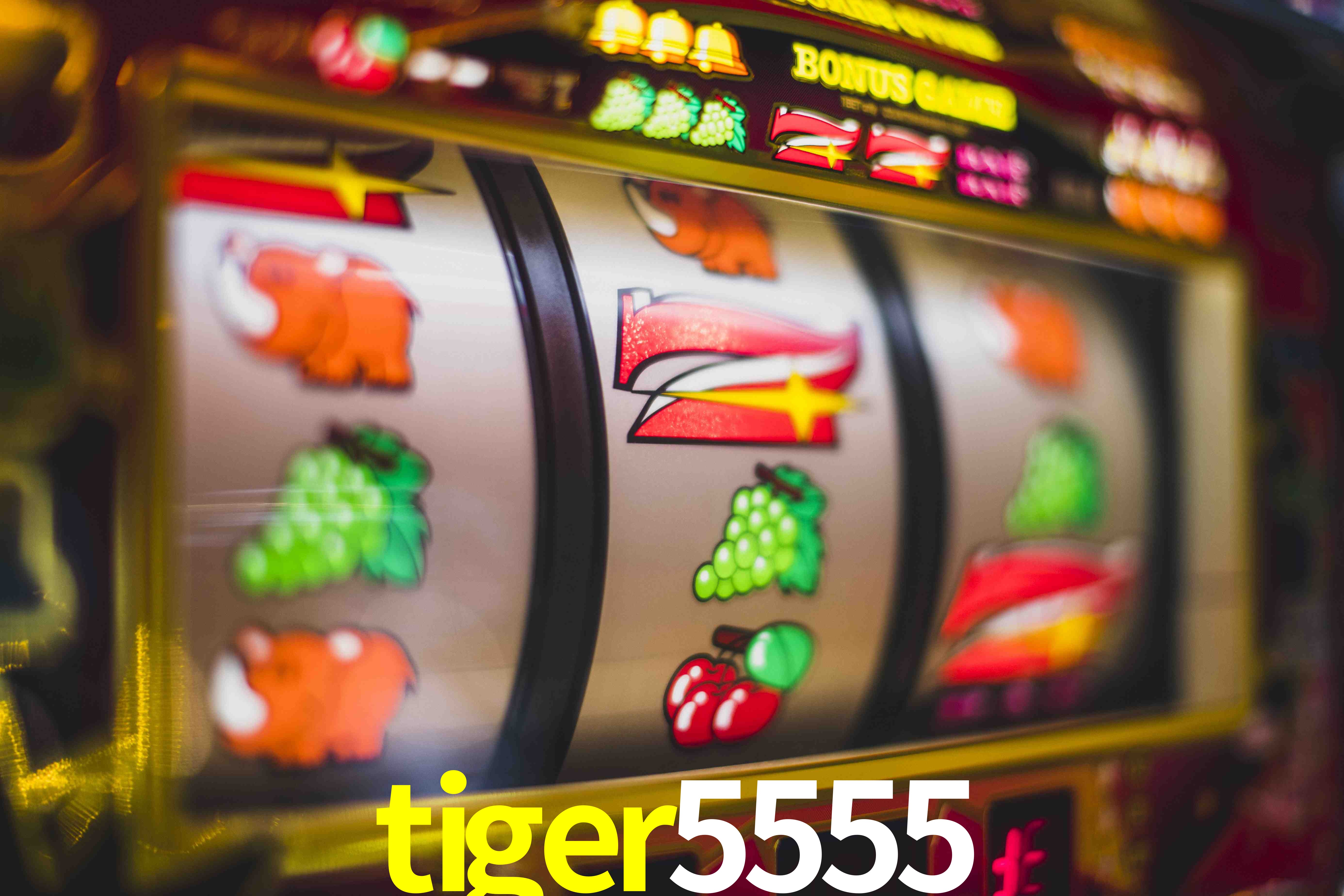 Live Casino tiger5555